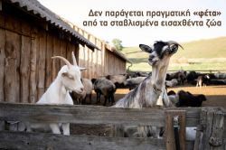 Περισσότερα...