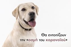 Περισσότερα...